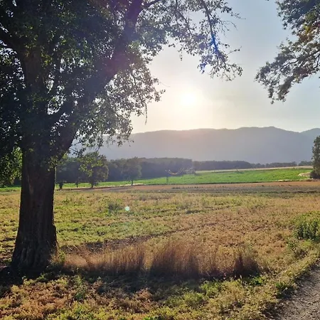 Magnifique * Prévessin